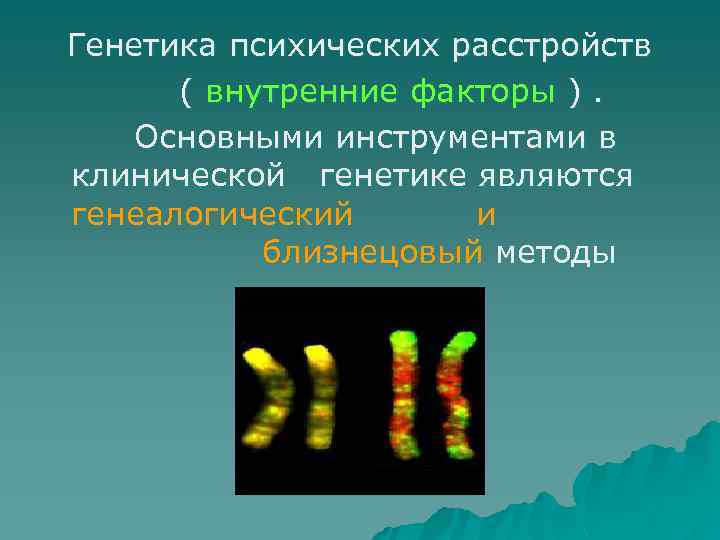 Генетика психических расстройств ( внутренние факторы ). Основными инструментами в клинической генетике являются генеалогический