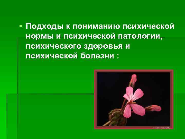 § Подходы к пониманию психической нормы и психической патологии, психического здоровья и психической болезни