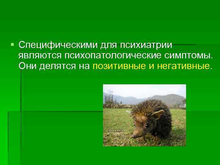 § Специфическими для психиатрии являются психопатологические симптомы. Они делятся на позитивные и негативные. 