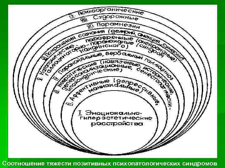 Соотношение тяжести позитивных психопатологических синдромов 