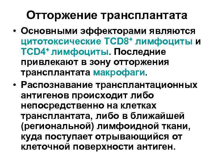 Отторжение трансплантата • Основными эффекторами являются цитотоксические ТCD 8+ лимфоциты и ТCD 4+ лимфоциты.