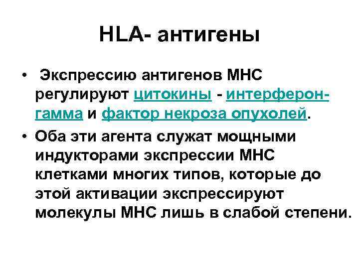 HLA- антигены • Экспрессию антигенов MHC регулируют цитокины - интерферонгамма и фактор некроза опухолей.