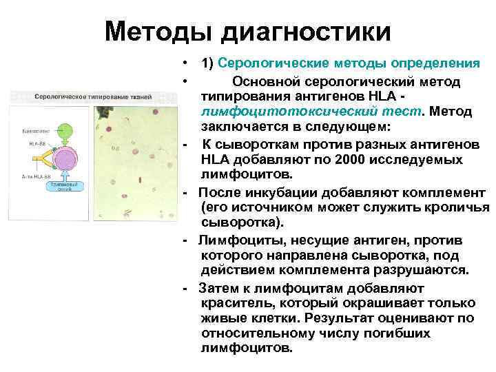 Методы диагностики • 1) Серологические методы определения • Основной серологический метод типирования антигенов HLA