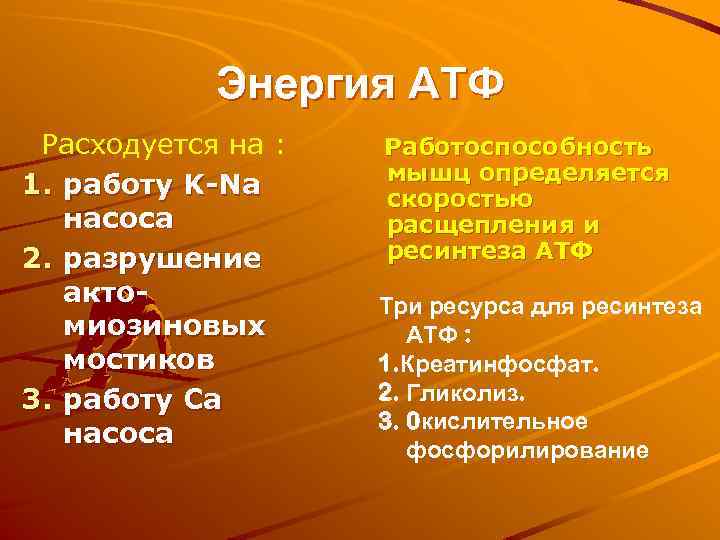 Энергия АТФ Расходуется на : 1. работу K-Na насоса 2. разрушение актомиозиновых мостиков 3.
