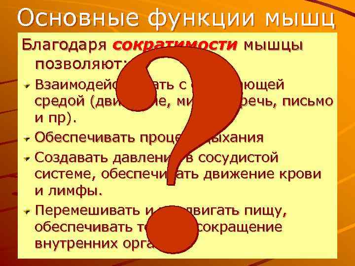 Основные функции мышц Благодаря сократимости мышцы позволяют: Взаимодействовать с окружающей средой (движение, мимика, речь,