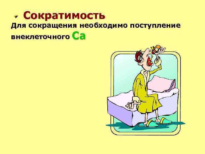 Сократимость Для сокращения необходимо поступление внеклеточного Са 