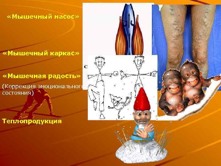  «Мышечный насос» «Мышечный каркас» «Мышечная радость» (Коррекция эмоционального состояния) Теплопродукция 