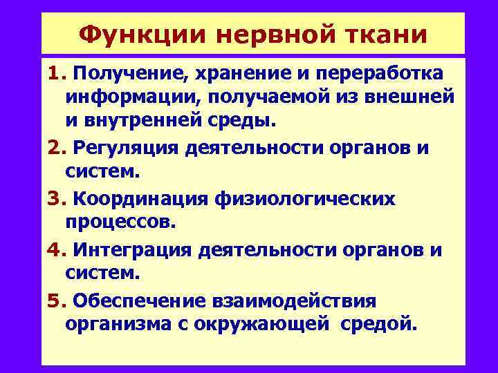 Функции нервной ткани 1. Получение, хранение и переработка информации, получаемой из внешней и внутренней