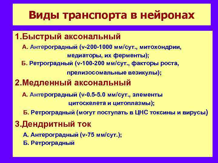 Виды транспорта в нейронах 1. Быстрый аксональный А. Антероградный (v-200 -1000 мм/сут. , митохондрии,