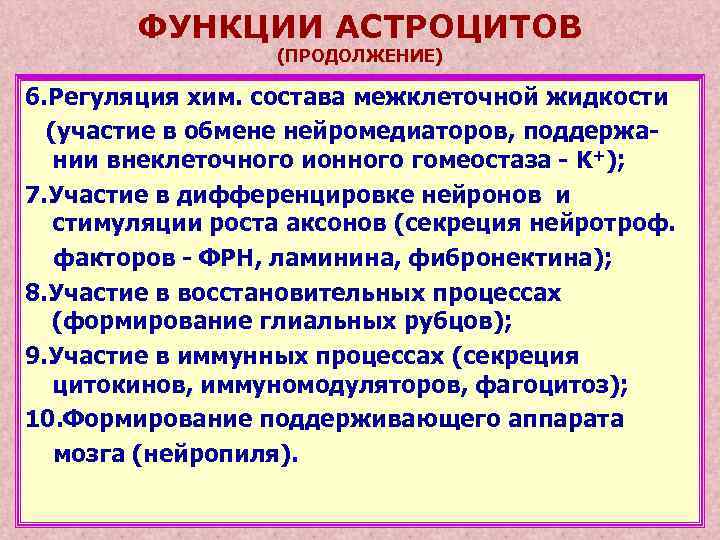 ФУНКЦИИ АСТРОЦИТОВ (ПРОДОЛЖЕНИЕ) 6. Регуляция хим. состава межклеточной жидкости (участие в обмене нейромедиаторов, поддержании