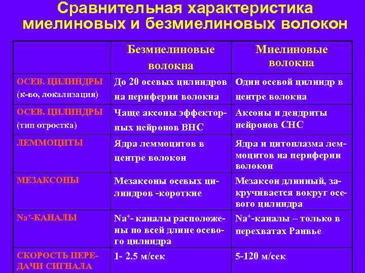 Сравнительная характеристика миелиновых и безмиелиновых волокон Безмиелиновые волокна Миелиновые волокна ОСЕВ. ЦИЛИНДРЫ (к-во, локализация)