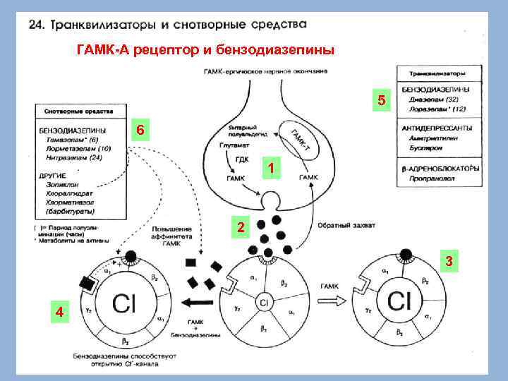 Фармакология в рисунках и схемах