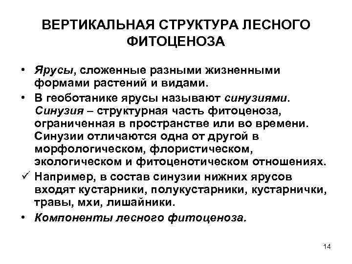 ВЕРТИКАЛЬНАЯ СТРУКТУРА ЛЕСНОГО ФИТОЦЕНОЗА • Ярусы, сложенные разными жизненными формами растений и видами. •
