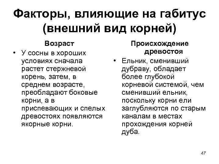 Факторы, влияющие на габитус (внешний вид корней) Возраст • У сосны в хороших условиях