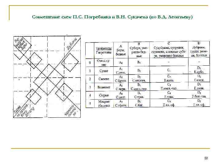 Совмещение схем П. С. Погребняка и В. Н. Сукачева (по В. Д. Леонтьеву) 22