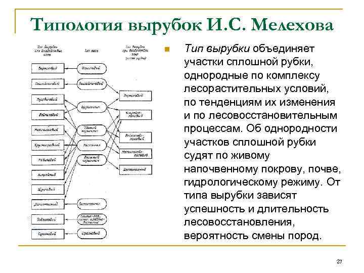 Типология леса презентация