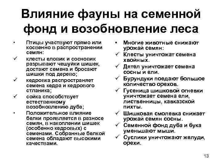 Влияние фауны на семенной фонд и возобновление леса • ü ü ü • Птицы