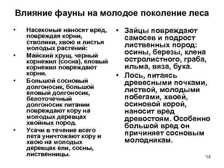 Влияние фауны на молодое поколение леса • • Насекомые наносят вред, повреждая корни, стволики,