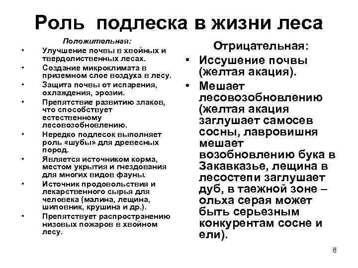 Роль подлеска в жизни леса • • Положительная: Улучшение почвы в хвойных и твердолиственных