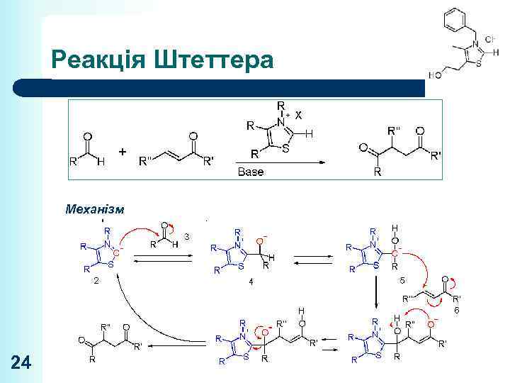 Реакція Штеттера Механізм 24 
