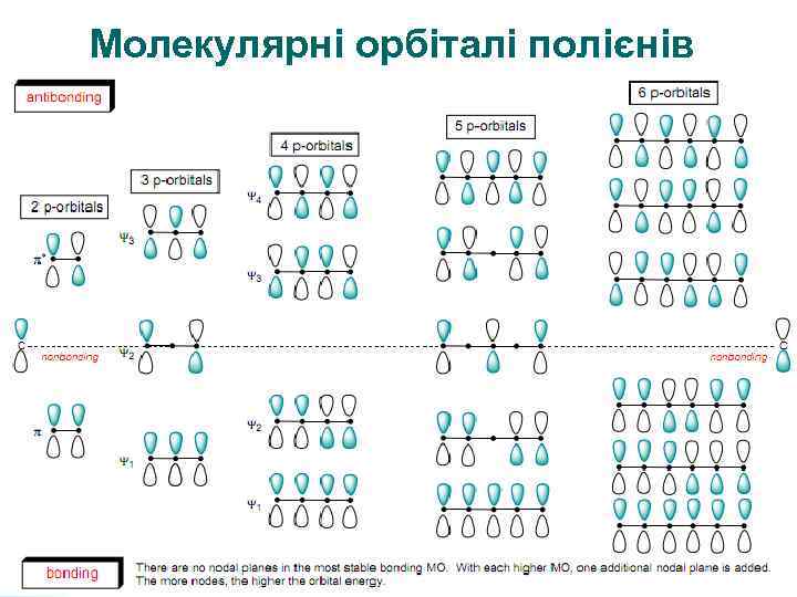 Молекулярні орбіталі полієнів 