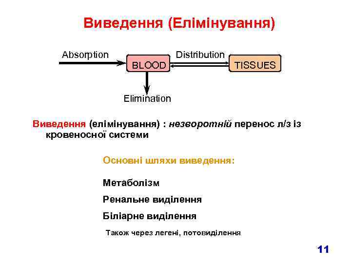 Виведення (Елімінування) Absorption BLOOD Distribution TISSUES Elimination Виведення (елімінування) : незворотній перенос л/з із