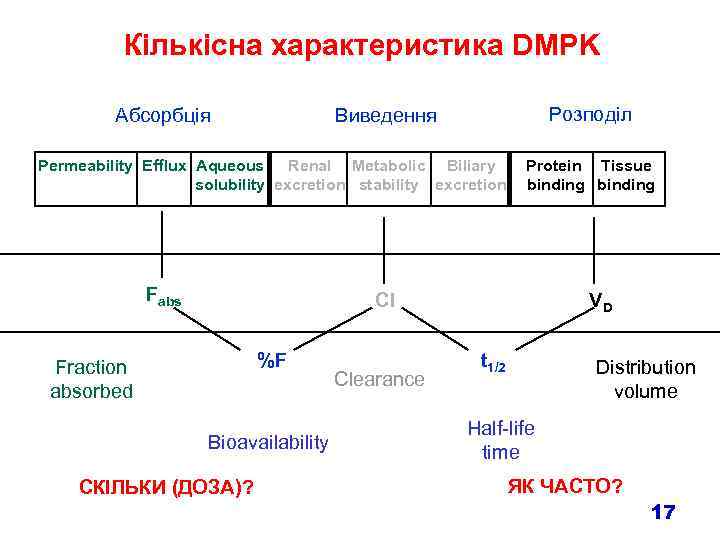 Кількісна характеристика DMPK Абсорбція Розподіл Виведення Permeability Efflux Aqueous Renal Metabolic Biliary solubility excretion