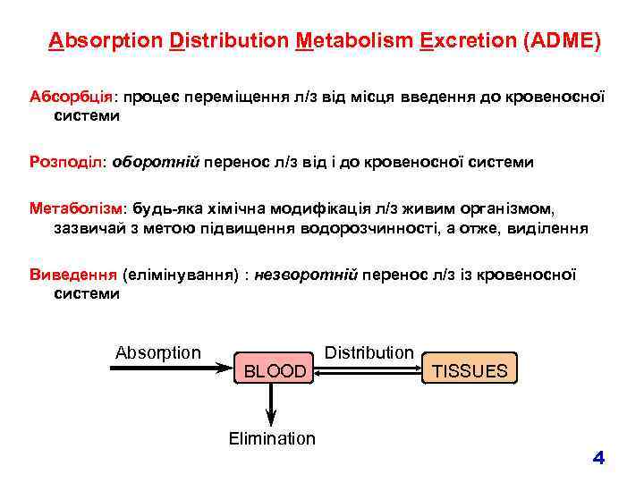 Absorption Distribution Metabolism Excretion (ADME) Абсорбція: процес переміщення л/з від місця введення до кровеносної