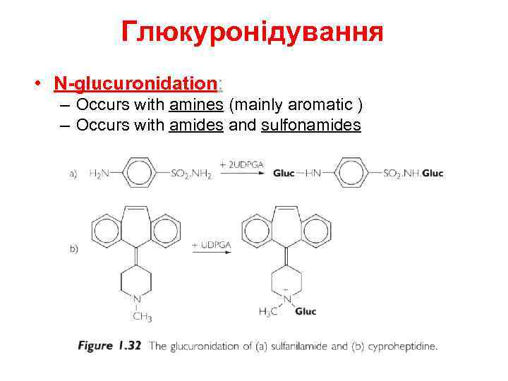 Глюкуронідування • N-glucuronidation: – Occurs with amines (mainly aromatic ) – Occurs with amides