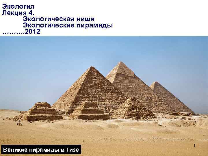 Экология Лекция 4. Экологическая ниши Экологические пирамиды ………. 2012 Великие пирамиды в Гизе 1
