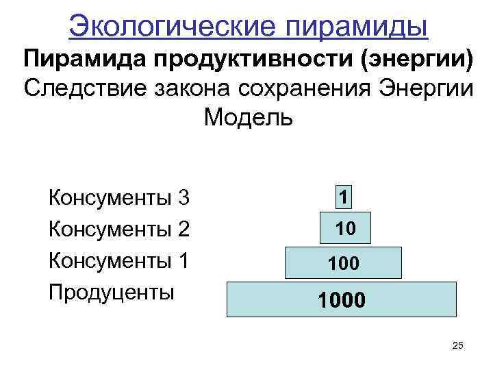 Экологические пирамиды Пирамида продуктивности (энергии) Следствие закона сохранения Энергии Модель Консументы 3 Консументы 2