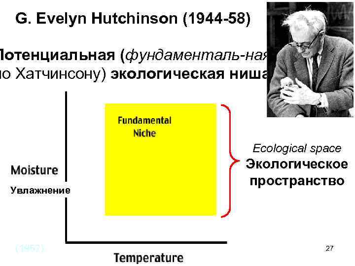 G. Evelyn Hutchinson (1944 -58) Потенциальная (фундаменталь-ная по Хатчинсону) экологическая ниша Ecological space Увлажнение