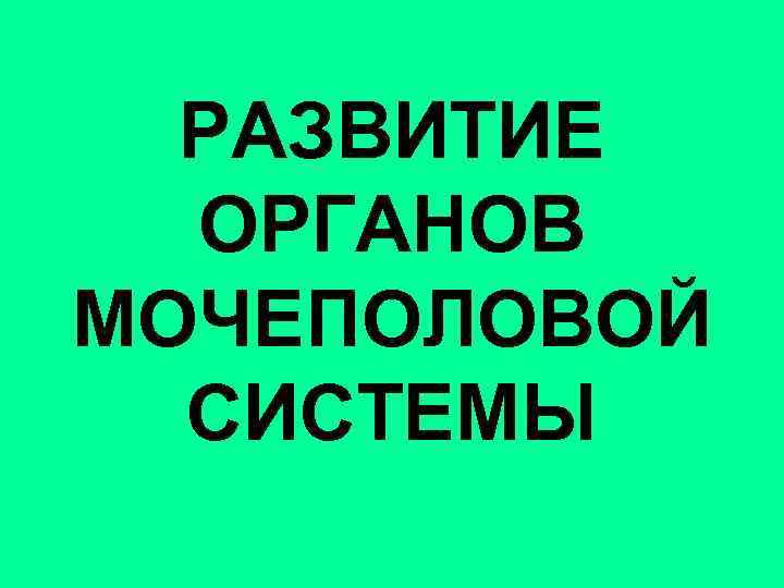 РАЗВИТИЕ ОРГАНОВ МОЧЕПОЛОВОЙ СИСТЕМЫ 