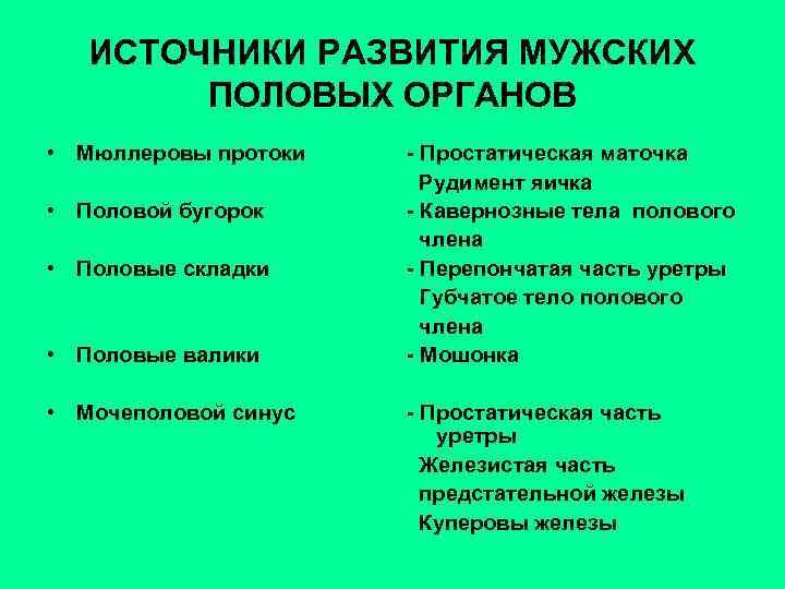 ИСТОЧНИКИ РАЗВИТИЯ МУЖСКИХ ПОЛОВЫХ ОРГАНОВ • Мюллеровы протоки • Половой бугорок • Половые складки
