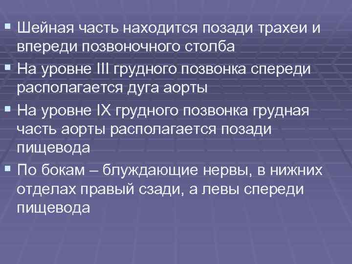 § Шейная часть находится позади трахеи и впереди позвоночного столба § На уровне III
