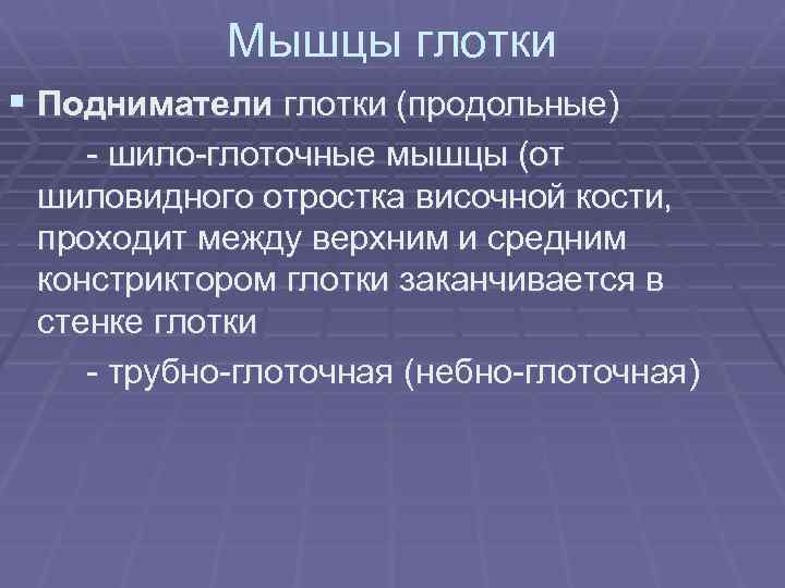 Мышцы глотки § Подниматели глотки (продольные) - шило-глоточные мышцы (от шиловидного отростка височной кости,