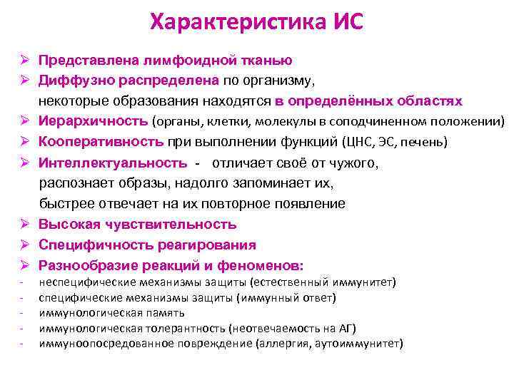 Характеристика ИС Ø Представлена лимфоидной тканью Ø Диффузно распределена по организму, некоторые образования находятся