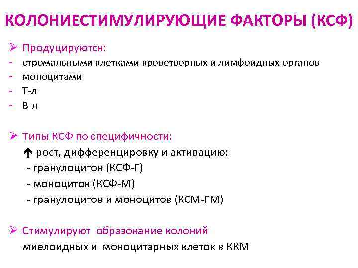 КОЛОНИЕСТИМУЛИРУЮЩИЕ ФАКТОРЫ (КСФ) Ø Продуцируются: - стромальными клетками кроветворных и лимфоидных органов моноцитами Т-л