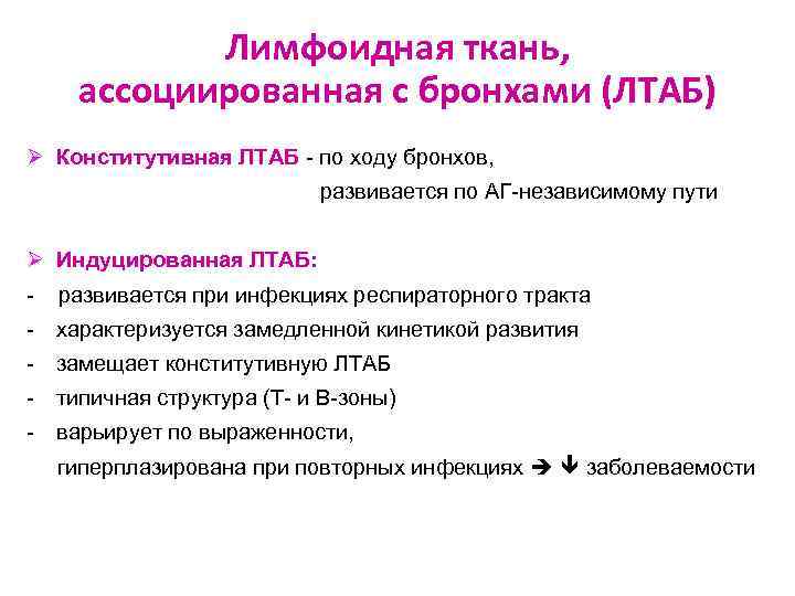 Лимфоидная ткань, ассоциированная с бронхами (ЛТАБ) Ø Конститутивная ЛТАБ - по ходу бронхов, развивается