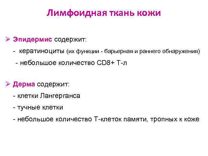 Лимфоидная ткань кожи Ø Эпидермис содержит: - кератиноциты (их функции - барьерная и раннего