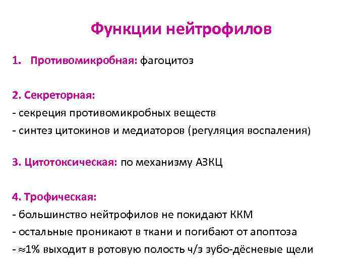 Функции нейтрофилов 1. Противомикробная: фагоцитоз 2. Секреторная: - секреция противомикробных веществ - синтез цитокинов