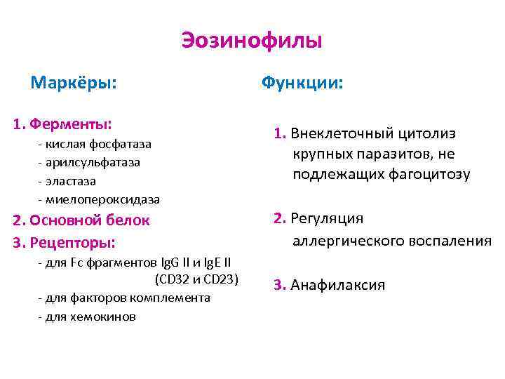 Эозинофилы Маркёры: 1. Ферменты: - кислая фосфатаза - арилсульфатаза - эластаза - миелопероксидаза 2.