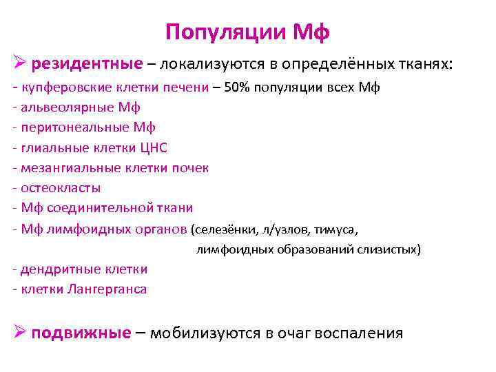 Популяции Мф Ø резидентные – локализуются в определённых тканях: - купферовские клетки печени –