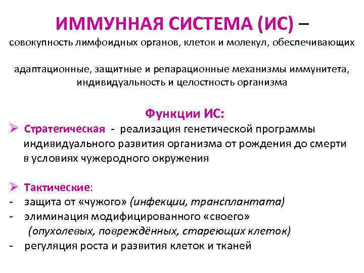 ИММУННАЯ СИСТЕМА (ИС) – совокупность лимфоидных органов, клеток и молекул, обеспечивающих адаптационные, защитные и