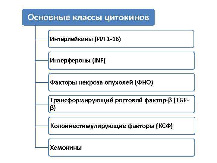 Основные классы цитокинов Интерлейкины (ИЛ 1 -16) Интерфероны (INF) Факторы некроза опухолей (ФНО) Трансформирующий
