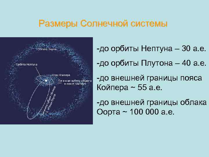 Размеры Солнечной системы -до орбиты Нептуна – 30 а. е. -до орбиты Плутона –