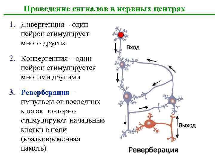 Стимуляция повторная