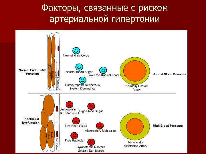 Факторы, связанные с риском артериальной гипертонии 