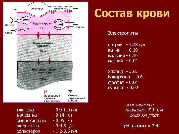 Состав крови Электролиты: натрий кальций магний - 3. 28 г/л 0. 18 0. 10