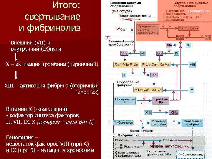 Итого: свертывание и фибринолиз Внешний (VII) и внутренний (IX)пути (вне сосуда) (воспаление) IV III